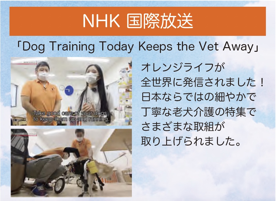 NHK国際放送　オレンジライフが全世界に発信されました